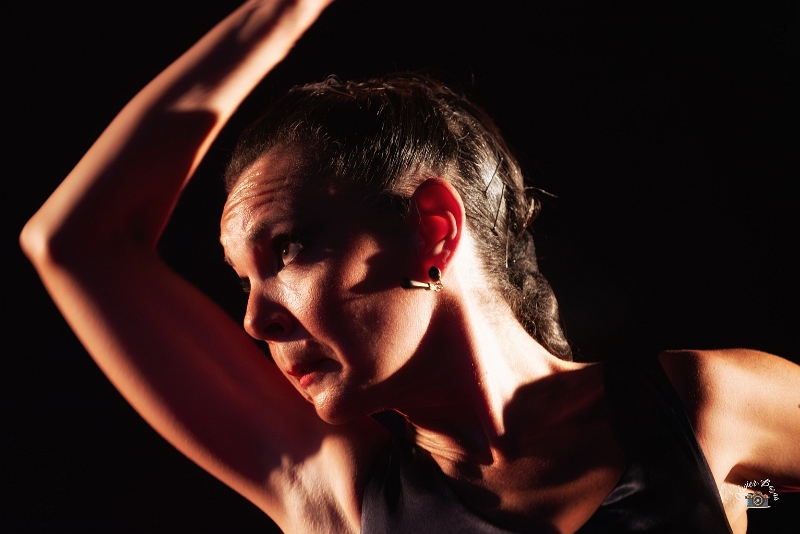 flamenco (114)
